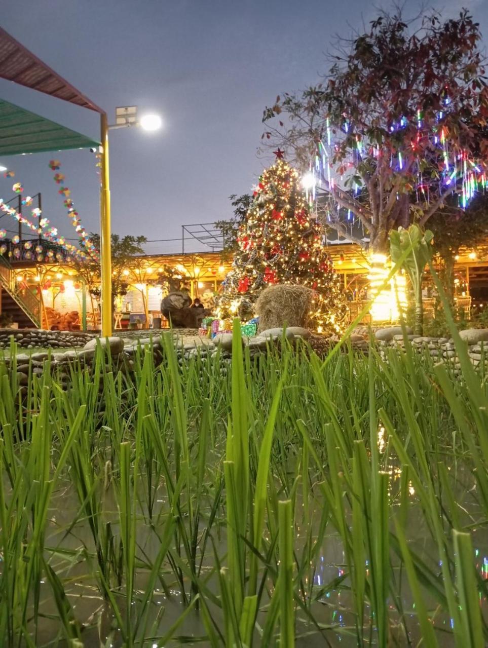 Hotel Viet Kieu Royal Xuyên Mộc Esterno foto